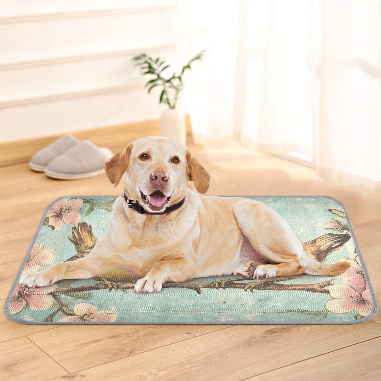 71Ivh9e7n3L._AC_SL1500_