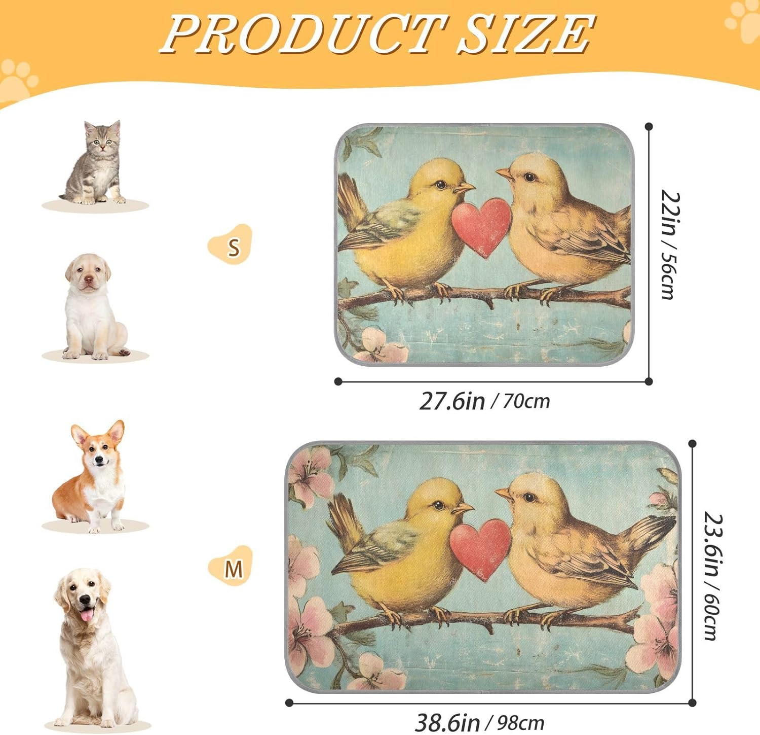 71joNQVk1RL._AC_SL1500_