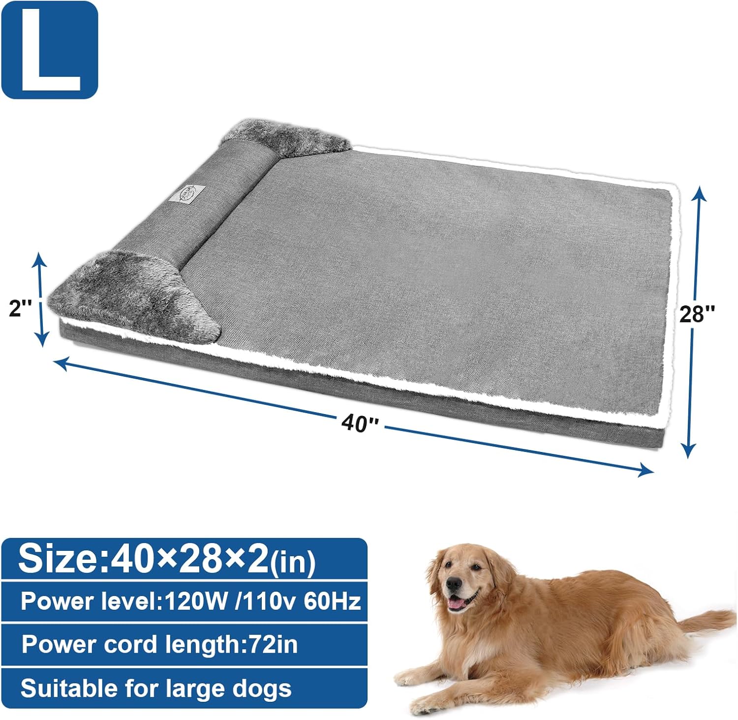 71lIPAoQy9L._AC_SL1500_