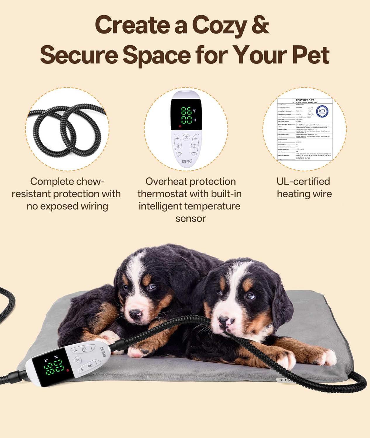 71ogtYG13DL._AC_SL1500_