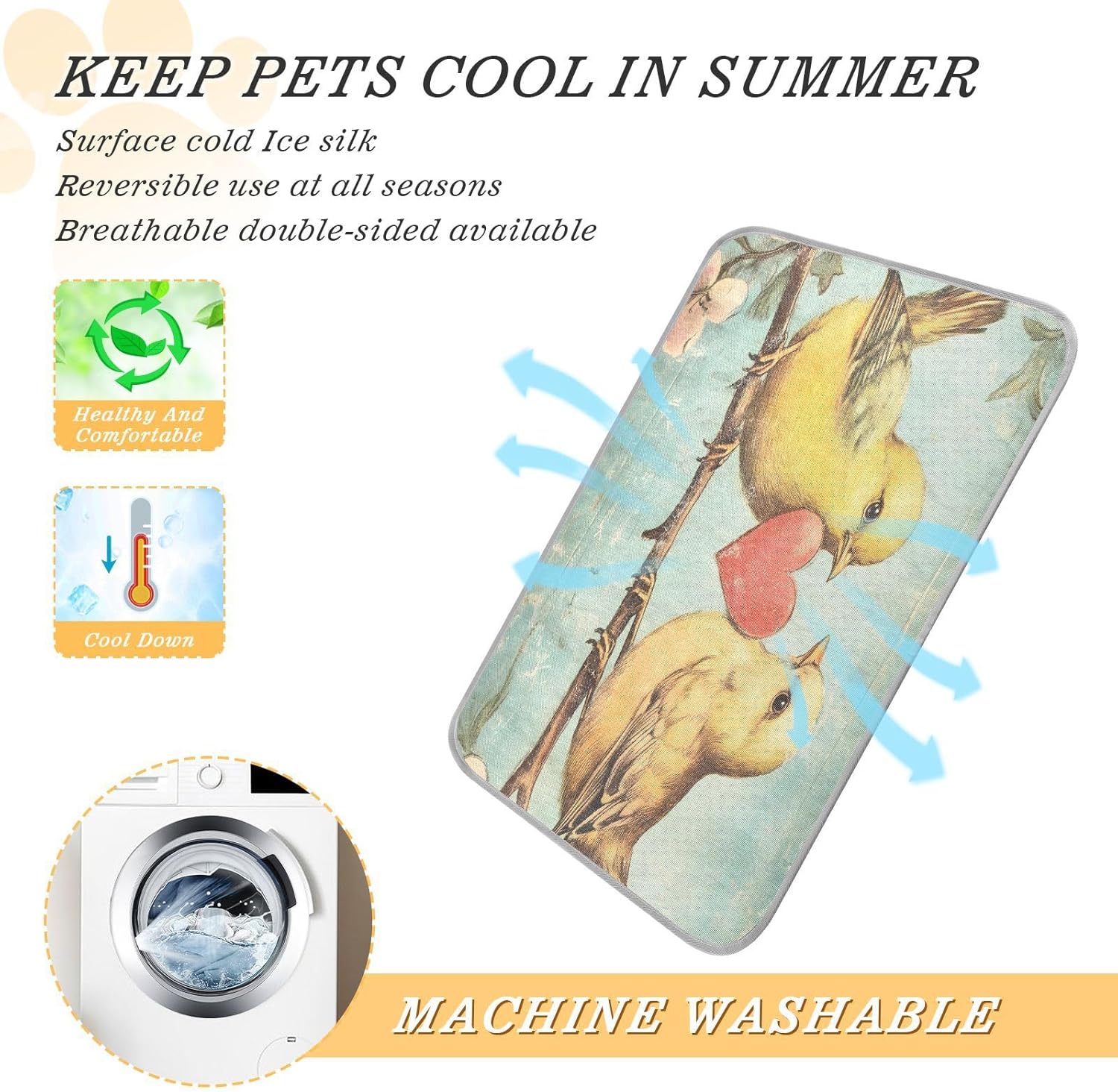 813kXJjN1hL._AC_SL1500_