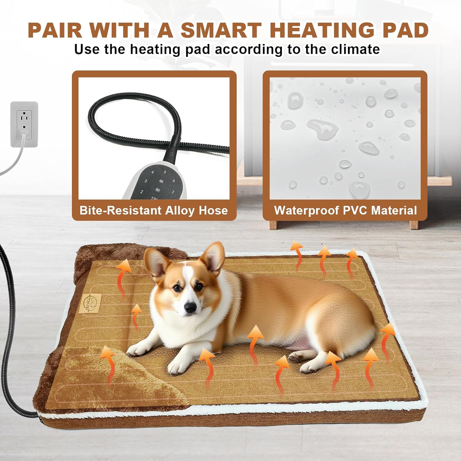 81mBgXTmcHL._AC_SL1500_