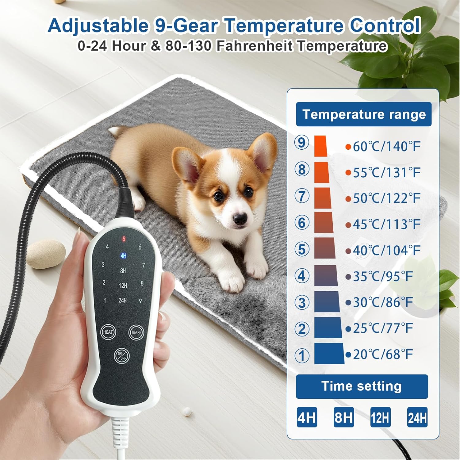 81wtOrydx-L._AC_SL1500_