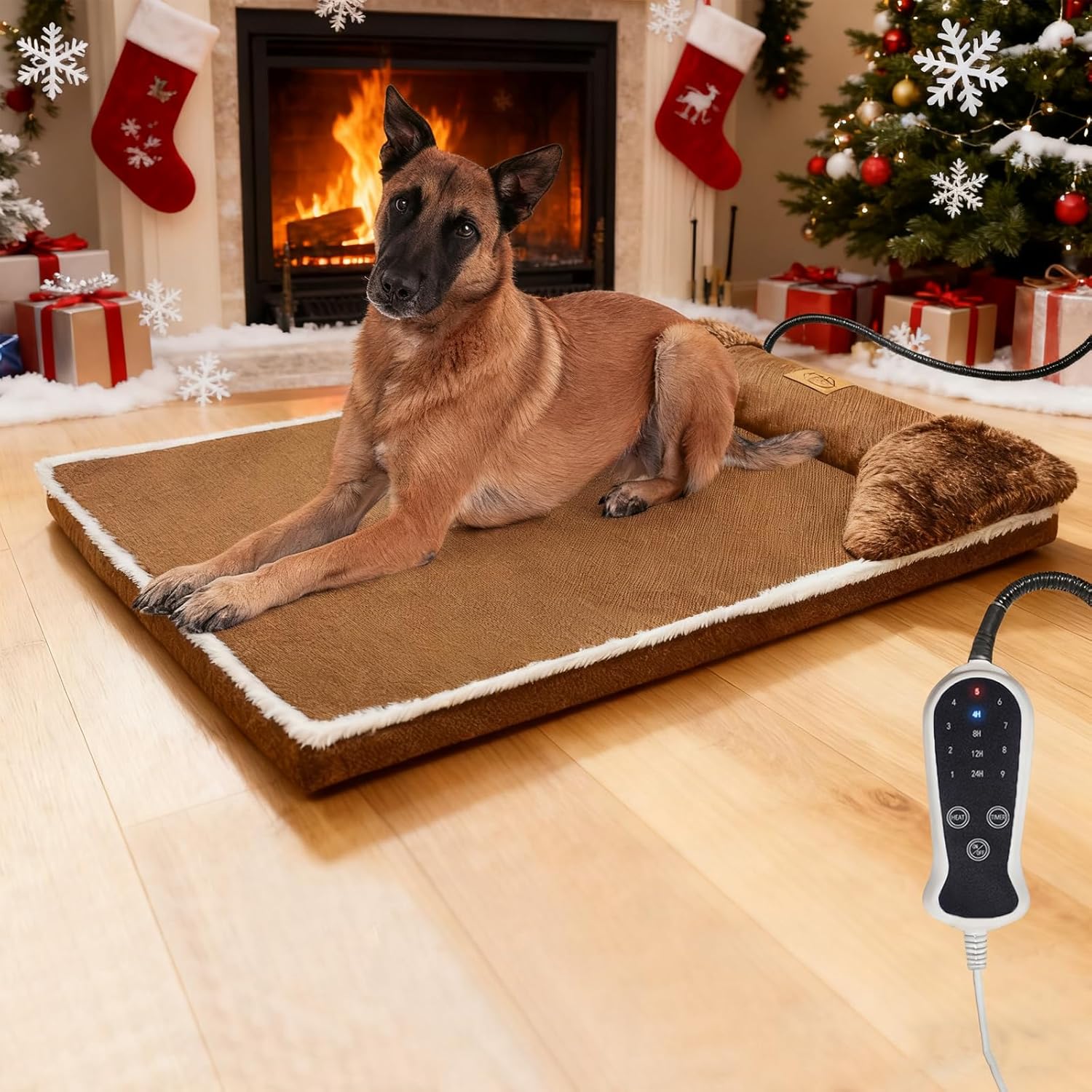 81yDbLQA6RL._AC_SL1500_